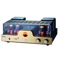 Dared I30 HIFI Audiophiles Professional Class A Vacuum Tube Integrated Amplifier USB-DAC/LINE input and Headphone Output,30W*2,with 6L6G(5881),12AX7(ECC83),12AU7(ECC82) Tube