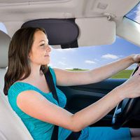 WANPOOL Anti-Glare Anti-Dazzle Vehicle Visor Sunshade Extender Sun Blocker for Cars, Vans and Trucks (Sliver)