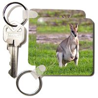 3dRose Grey kangaroos, Queensland, Australia - AU01 MGL0068 - Miva Stock - Key Chains, 2.25 x 4.5 inches, set of 2 (kc_133405_1)