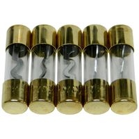Bass Rockers 5 Gold Plated AGU Fuses 100A - AGU100A