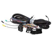 Eonon A0579 Harness Only for BMW E46/E39/E53(GA9150KW, GA8150A, GA8201A, GA8201, GA8166, GA7150, GA7201, GA7166) 17 Pin + 40 Pin Extended Installation Wiring Harness