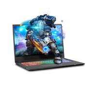 Sager NP8976 0.78 Inches Thin & Light Gaming Laptop, 17.3 Inches FHD 144Hz Thin Bezel Display, Intel Core i7-9750H, NVIDIA RTX 2060 6GB DDR6, 16GB RAM, 500GB NVMe SSD, Windows 10