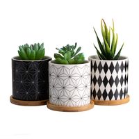 Dsben 3.5 Inch Succulent Plant Pots, Small Modren Pattern Flower Ceramic Planter Indoor with Bamboo Tray for Cactus, Herbs, Home, Set of 3