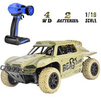Rainbrace Off Road RC Racing Cars Toys for 6-15 Years Old Boys Kids, 4WD RC Cars 4x4 RC Truck Monster Vehicle Remote Control Car High Speed RC Crawler Cars (Random Colors)
