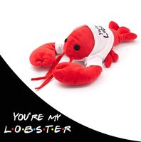 Cool TV Props Friends You're My Lobster Plush Friends Lobster Stuffed Animal Plush - Ross Geller Rachel Green Lobster Stuffed Animal in Cute White T-Shirt - 8" (20cm) Head to Tail, 6" (15cm) Claw to