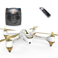 HUBSAN H501SS X4 Drone GPS 4 Channel Altitude Mode 5.8GHz Transmitter 6 Axis Gyro 1080P FPV Brushless Quadcopter Mode 2 RTF ( White)