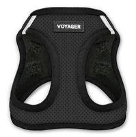 Voyager Step-In Air Dog Harness - All Weather Mesh, Step In Vest Harness for Small and Medium Dogs by Best Pet Supplies - Black Base, Large (Chest: 18" - 21")