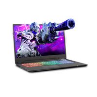 Sager NP8977 0.78 Inches Thin & Light Gaming Laptop, 17.3 Inches FHD 144Hz Thin Bezel Display, Intel Core i7-9750H, NVIDIA RTX 2070 8GB DDR6, 16GB RAM, 500GB NVMe SSD, Windows 10