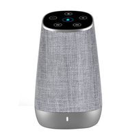 COWIN DiDa with Amazon Alexa Bluetooth Speakers, Smart Wireless Portable WiFi Speaker 15W Output Power with Enhanced Bass-Silver