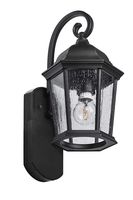 Maximus Smart Companion Light (Camera-Less) - Coach Black - Compatible with Alexa