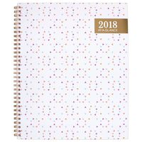 AT-A-GLANCE Weekly / Monthly Planner, January 2018 - December 2018, 8-1/2" x 11", Spritz (1048-905)