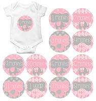 Gift Set of 12 Round Keepsake Photography Monthly Baby Stickers with Elephants in Pink and Gray Argyle MOSG148