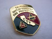 CDF CA CALIFORNIA DEPT FORESTRY FIRE PROTECTION BADGE HAT LAPEL PIN GIFT IDEA