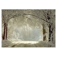 EDT-7 x 5ft Winter Backdrops Photography Snow Freeze Forest Background for Studio