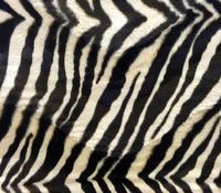 Velboa Faux Fur Fabric Zebra Beige / 60" Wide/Sold by The Yard