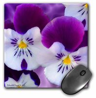 3dRose LLC 8 x 8 x 0.25 Inches Mouse Pad, Passionate Pansies (mp_127728_1)