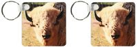 3dRose White buffalo wildlife, Santa Fe, New Mexico - US32 JMR0089 - Julien McRoberts - Key Chains, 2.25 x 4.5 inches, set of 2 (kc_92633_1)