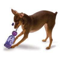 PetSafe Busy Buddy Tug-A-Jug Meal-Dispensing Dog Toy Use with Kibble or Treats