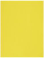 Envelopes.com Durable Heavy-Weight Cardstock Paper - 81211-P-14-250, (Pack of 250)