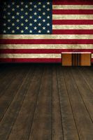 Izielad Computer Printed Photography Background Backdrop 98.4 in (W) 59 in (H) American Flag 1.52m