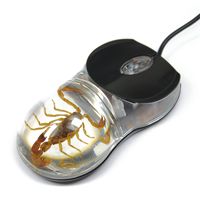 Golden Scorpion Computer Mouse with Clear Background