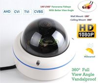 180/360˚ Panorama View Angle 700TVL 1/3 1/3" Sony Super HAD II CCD Double Scan Indoor/Outdoor Dome Security Camera, Advanced DSP to Offer High Image Quality