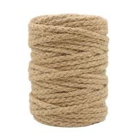 Tenn Well 5mm Jute Twine, 100 Feet Braided Natural Jute Rope for Artworks and Crafts, Macrame Projects, Gardening Applications
