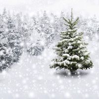 GoodsFederation 8x8ft Winter Snow Landscape Photo Backdrop Christmas Tree Photography Backdrops Christmas Photo Background Pictorial Cloth Studio Props SDJ-208