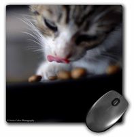 3dRose LLC 8 x 8 x 0.25 Inches Cute Kitten Eating Pattern Mouse Pad (mp_47174_1)