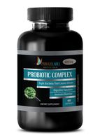 Natural Digestive Supplements - PROBIOTIC Complex 500 MG - Dietary Supplement - probiotic Weight Loss Supplement - 1 Bottle 60 Capsules