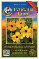 Everwilde Farms - 100 Black-Eyed Susan Vine Wildflower Seeds - Gold Vault Jumbo Seed Packet