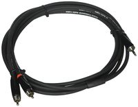Roland 10ft Interconnect Cable, 3.5mm TRS-Dual RCA, Black series (RCC-10-352R)
