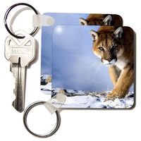 3dRose Cougar - Key Chains, 2.25 x 4.5 inches, set of 2 (kc_23424_1)