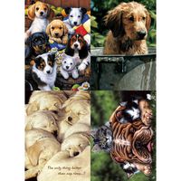 Tree-Free Greetings Sweet Pets Birthday Card Assortment, 5 x 7 Inches, 8 Cards and Envelopes per Set (GA31582)