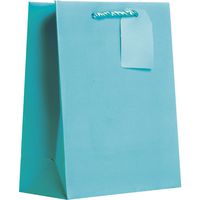Jillson Roberts 6-Count Medium 8" x 10" x 4" All-Occasion Gift Bags Available in 20 Solid Colors, Robin's Egg Blue Matte