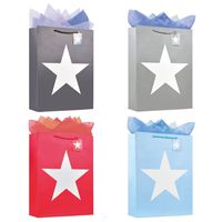 Paper Bag With Rope Handle Design For Party, Valentine's Day, Birthday, Star, Large, 12.5'' W x 16.5'' L x 4.5'' H, Mixed Color, Set Of 12...