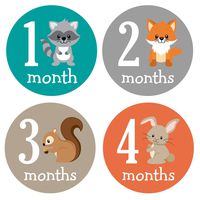 Pinkie Penguin Woodland Animals Baby Monthly Stickers - Milestone Onesie Stickers - Baby Boy - 1-12 Months - Baby Shower Gift