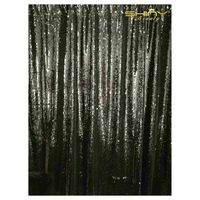 ShiDianYi Mermaid Sequin Backdrop 6FTX8FT-Black&Silver-Two Color Turned Sequin Backdrop Reversible Curtain for Wedding -0908E