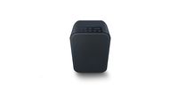 Bluesound Pulse Flex 2i Portable Wireless Multi-Room Smart Speaker with Bluetooth - Black - Works with Alexa and Siri
