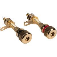 Dayton Audio BPA-38G HD Binding Post Pair Gold (2 Pack)