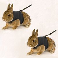 Calunce Soft Rabbits Harness with Leash... (Black 2pcs)