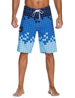 Nonwe Men's Swimwear Grid Printed Quick Dry Swim Trunks with Lining Blue 42
