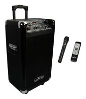 beFree Sound BFS-60L Sleek Professional Portable Bluetooth PA Speaker with Remote Control, Microphone, FM Radio, SD and USB Inputs