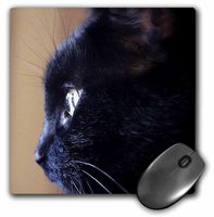 3dRose LLC 8 x 8 x 0.25 Inches Extreme Close-Up of Black Cat Pattern Mouse Pad (mp_49295_1)