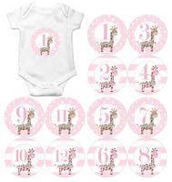 Gift Set of 12 Round Keepsake Photography Monthly Baby Stickers with Pink Giraffes MOSG178