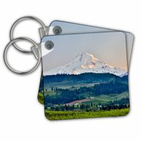 3dRose Key Chains USA, Oregon, Columbia River Gorge, Mt. Hood Landscape, Set of 2, 2.25 x 2.25" (kc_279338_1)
