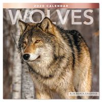 2020 Wolves Wall Calendar (LME1681020)
