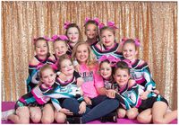 Rose Gold Backdrop Curtain 20FTx10FT Photo Backdrop Sequins Shimmer Curtains for Backdrop-0726E