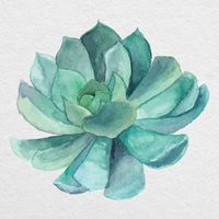 Watercolor Succulent 01-5" Printed Vinyl Decal - for MacBook, Laptop, Tablet and More!