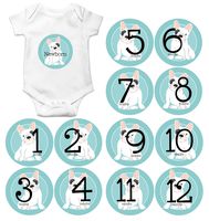 Gift Set of 13 Round Monthly Baby Stickers Including Newborn and 12 Months with French Bulldog Dog Puppy in Aqua Blue MOSB8049